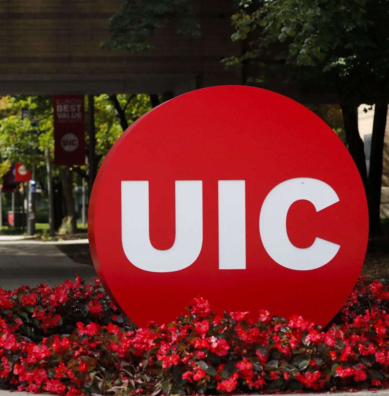 Red University of Illinois Chicago sign on campus, surrounded by red flowers